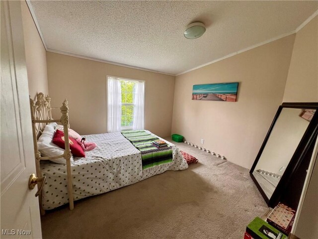 8548 Mount Carmel Ridge Rd, Saint Marys, WV 26170 - photo 23