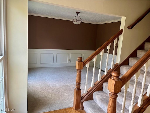 1023 55th St NE, Canton, OH 44721 - stairway with ornamental molding, carpet, and wainscoting