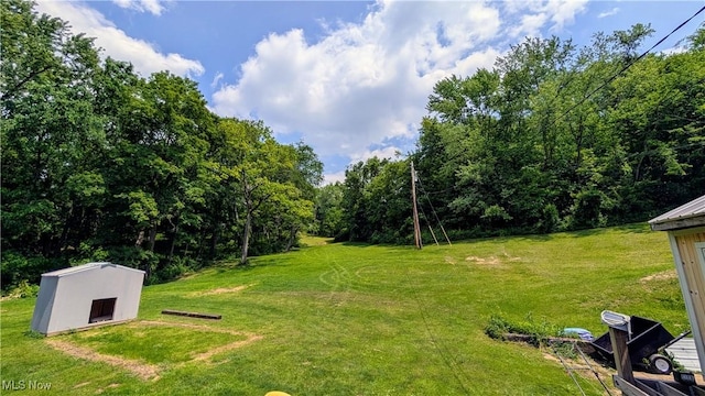 498 County Road 28, Steubenville, OH 43952 - view of grassy yard