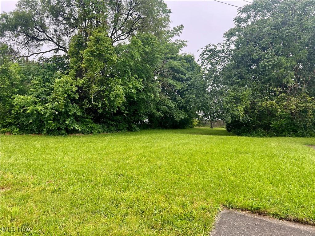 Apple Ave, Lorain, OH 44055 - photo 3