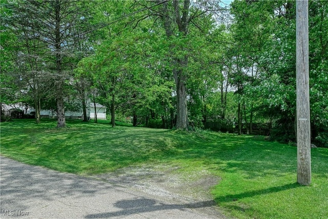1921 Dwight St, Cuyahoga Falls, OH 44221 - photo 3