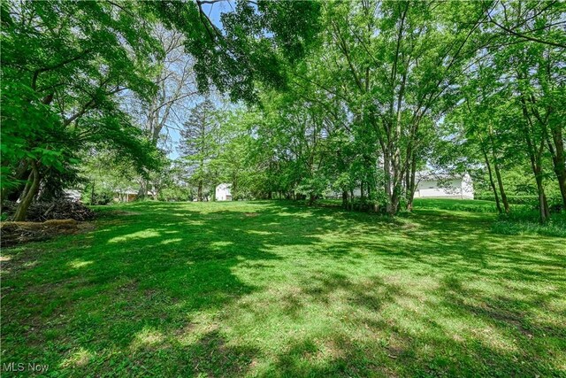 1921 Dwight St, Cuyahoga Falls, OH 44221 - photo 4