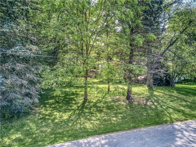 1921 Dwight St, Cuyahoga Falls, OH 44221 - photo 7