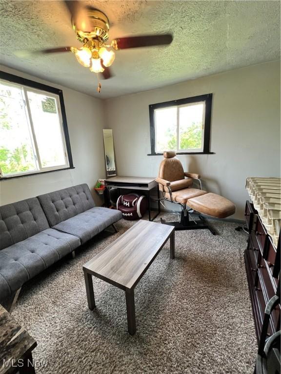 3524 E 139th St, Cleveland, OH 44120 - carpeted living room with a textured ceiling and a ceiling fan