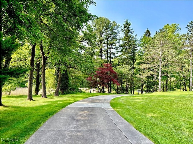 6684 Farview Rd, Brecksville, OH 44141 - photo 2