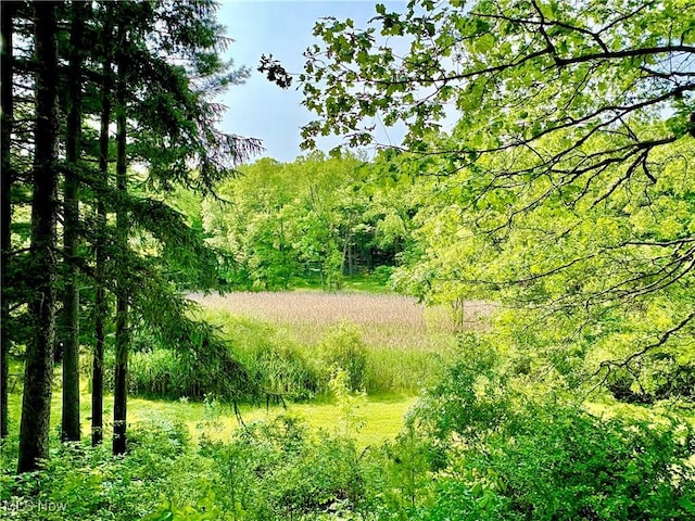 6684 Farview Rd, Brecksville, OH 44141 - photo 4