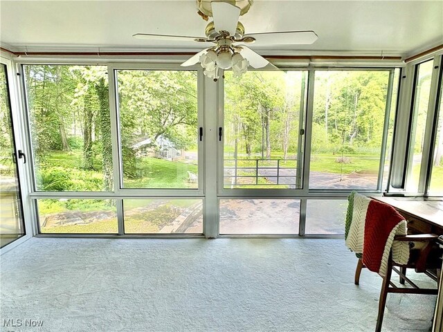 6684 Farview Rd, Brecksville, OH 44141 - photo 31
