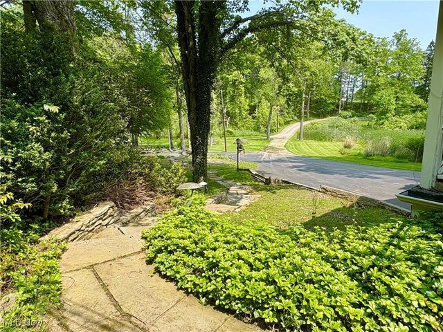 6684 Farview Rd, Brecksville, OH 44141 - photo 14