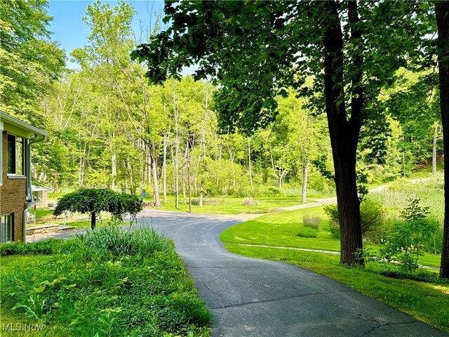 6684 Farview Rd, Brecksville, OH 44141 - photo 16