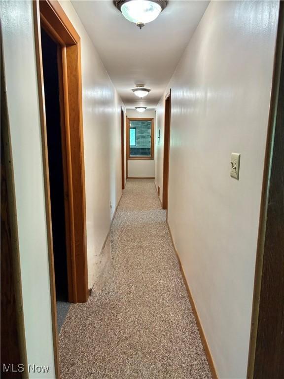 15959 Ridge Rd, North Royalton, OH 44133 - corridor with light colored carpet