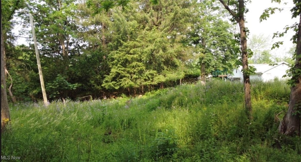 Walnut Dr, Chippewa Lake, OH 44215