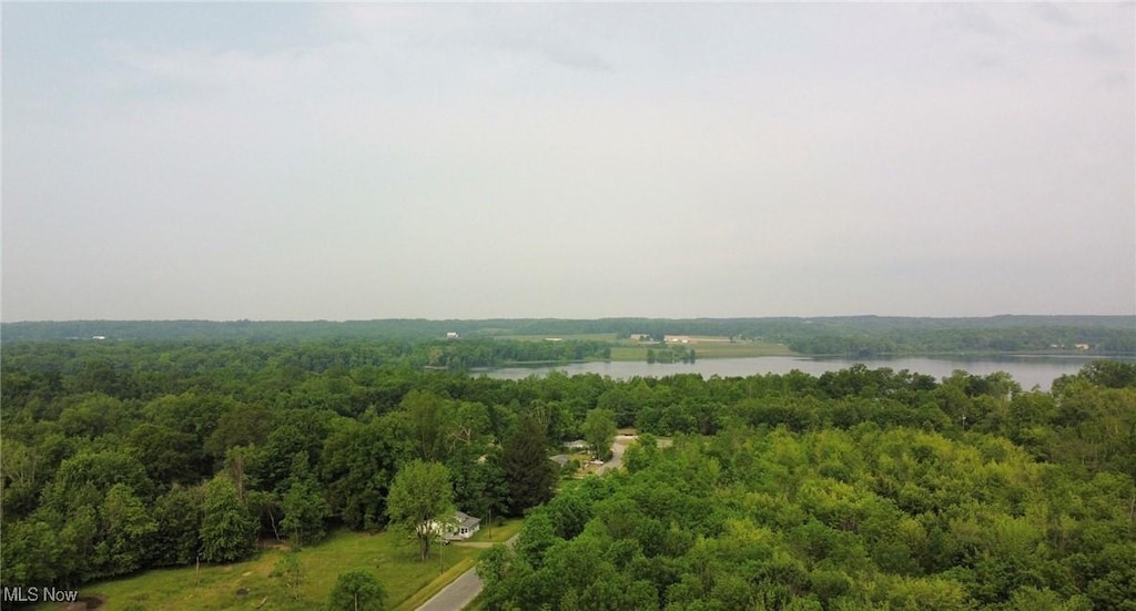Walnut Dr, Chippewa Lake, OH 44215
