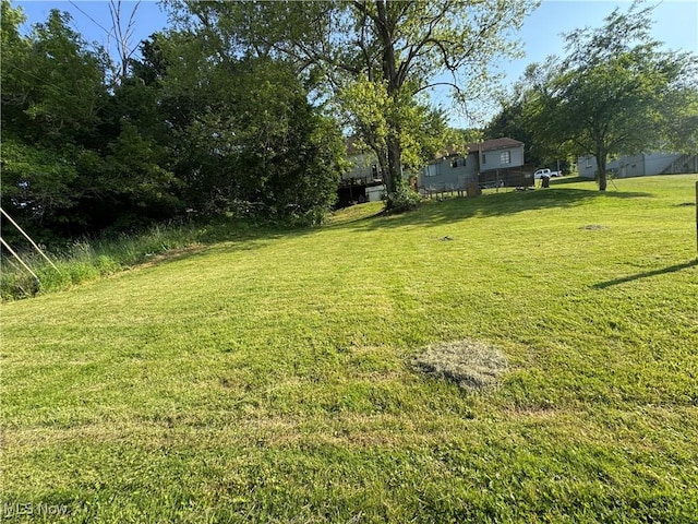 135 Finley Ave, Cambridge, OH 43725 - photo 5