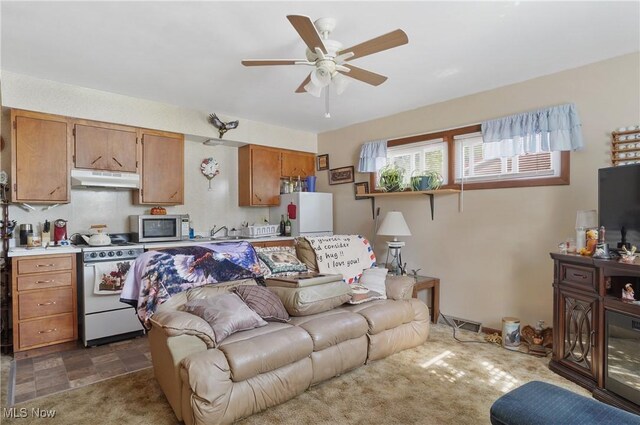 962 N Market St, Lisbon, OH 44432 - living area with a ceiling fan