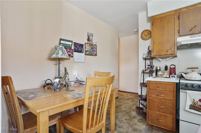 962 N Market St, Lisbon, OH 44432 - view of dining space