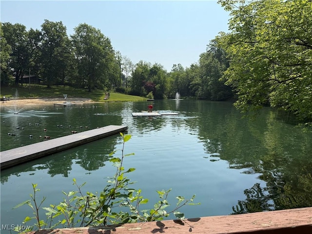 177 N Park Dr, Aurora, OH 44202 - dock area with a water view