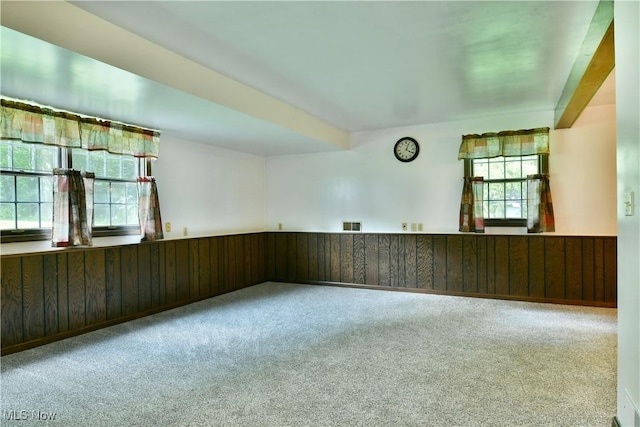 6739 Stewart Sharon Rd, Brookfield, OH 44403 - empty room featuring plenty of natural light, carpet, wainscoting, and wooden walls