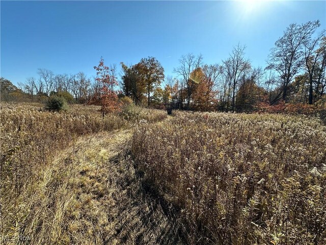 3207 Prairie Cir, Diamond, OH 44412 - photo 4
