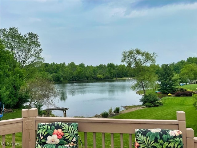 6005 Champagne, Medina, OH 44256 - water view