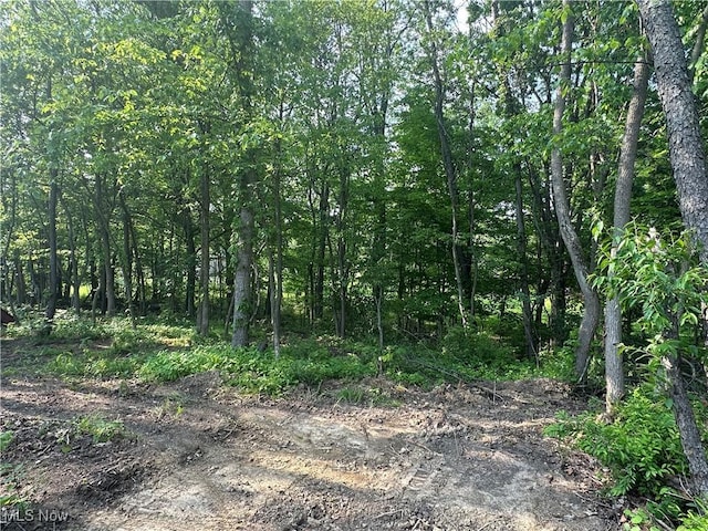 301 46th St SW, Canton, OH 44706 - view of woods