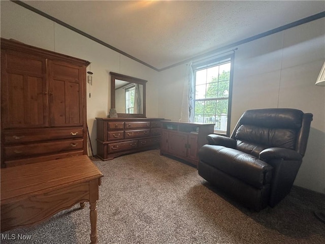 301 46th St SW, Canton, OH 44706 - sitting room featuring ornamental molding and carpet