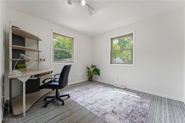 7183 Hunter Dr, Chippewa Lake, OH 44215 - office space with baseboards and rail lighting
