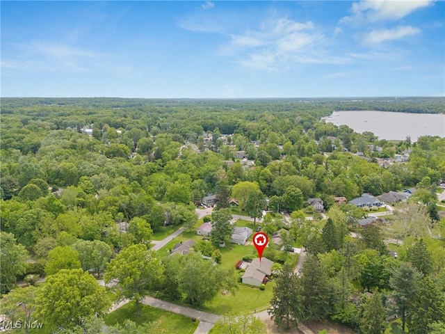 7183 Hunter Dr, Chippewa Lake, OH 44215 - drone / aerial view of a forest