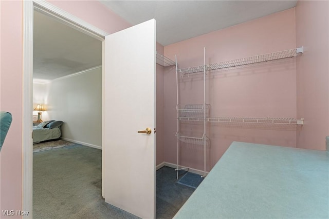 7183 Hunter Dr, Chippewa Lake, OH 44215 - walk in closet featuring carpet flooring