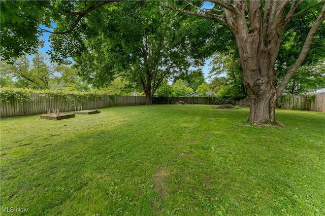1094 Jessie Ave, Kent, OH 44240 - view of yard