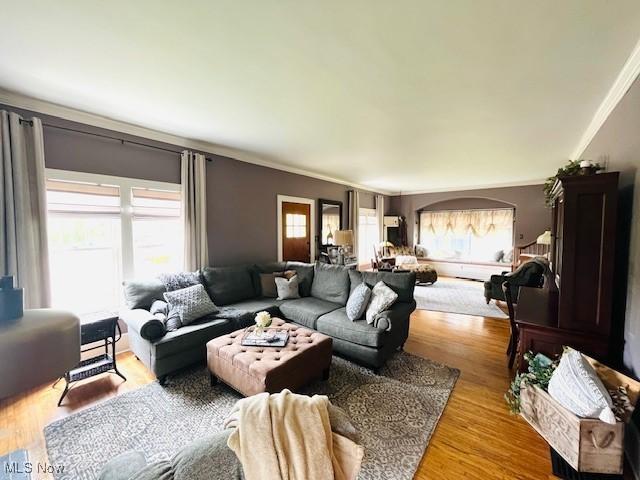 161 W Main St, New Concord, OH 43762 - living room featuring crown molding and light wood-style floors