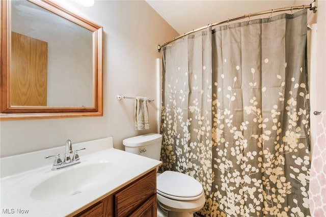 51406 Cornerstone Dr, Petersburg, OH 44454 - bathroom featuring toilet, vanity, and a shower with curtain