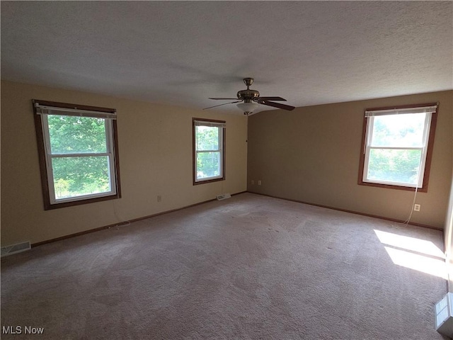 1025 S Ridge Rd, Geneva, OH 44041 - spare room with light colored carpet, a ceiling fan, baseboards, and a textured ceiling