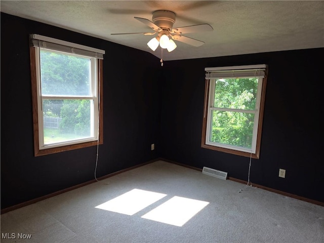 1025 S Ridge Rd, Geneva, OH 44041 - unfurnished room with healthy amount of natural light, carpet, a ceiling fan, baseboards, and a textured ceiling