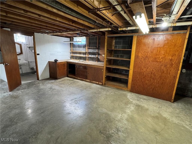 158 Main St, Rayland, OH 43943 - below grade area featuring concrete block wall and healthy amount of natural light