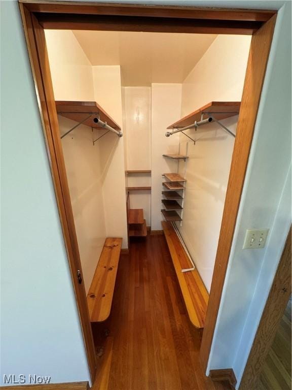 158 Main St, Rayland, OH 43943 - spacious closet featuring dark wood-style flooring