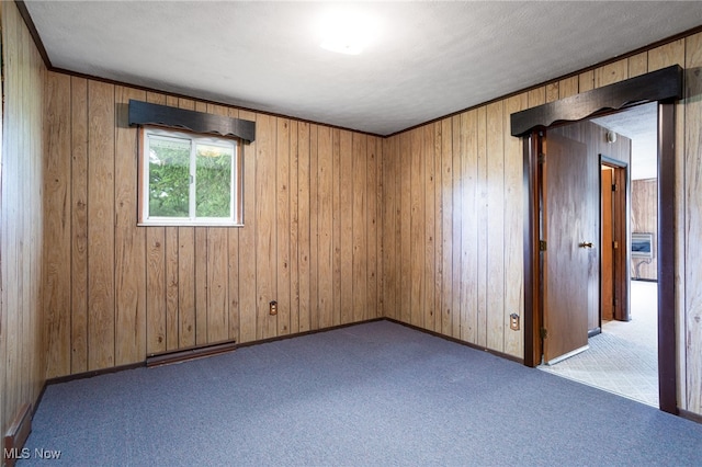 4855 Lake Dawn Dr, Medina, OH 44256 - spare room with carpet floors, wooden walls, and baseboards