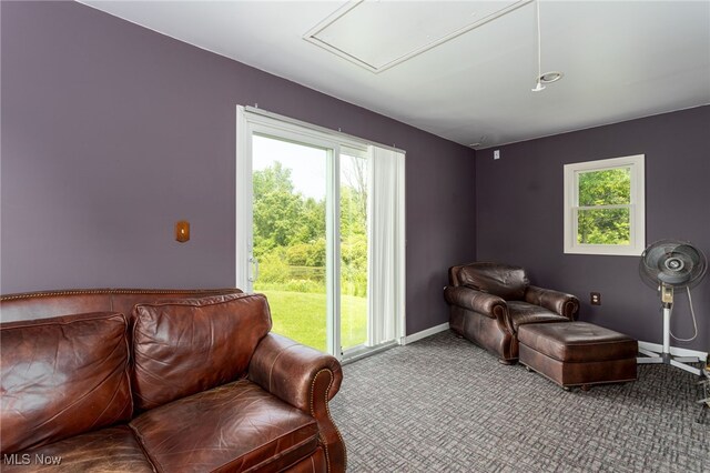 4959 Ridge Rd, Wadsworth, OH 44281 - photo 35