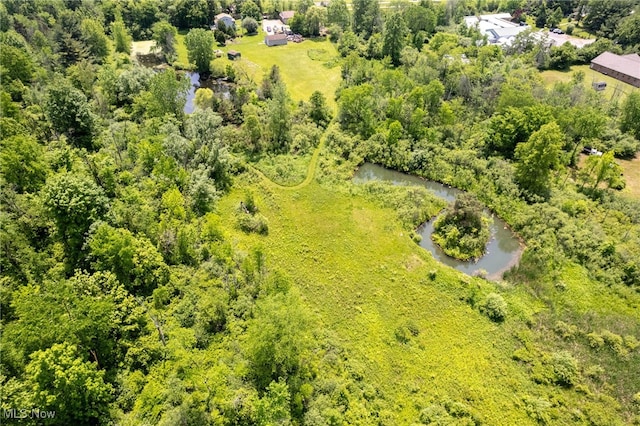 4959 Ridge Rd, Wadsworth, OH 44281 - photo 46