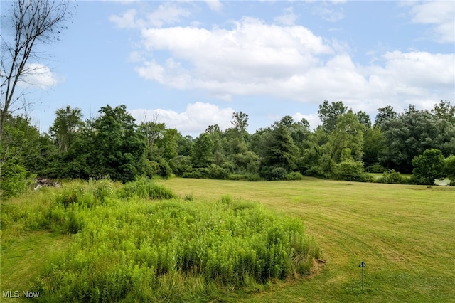 4959 Ridge Rd, Wadsworth, OH 44281 - photo 44