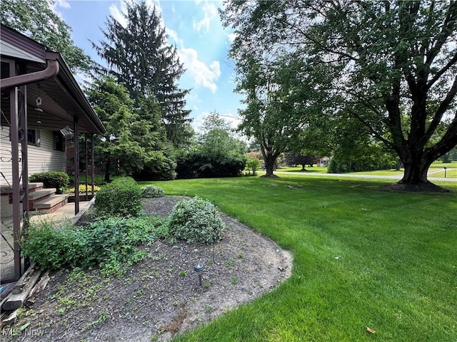 11025 Henning Dr, Chardon, OH 44024 - view of green lawn