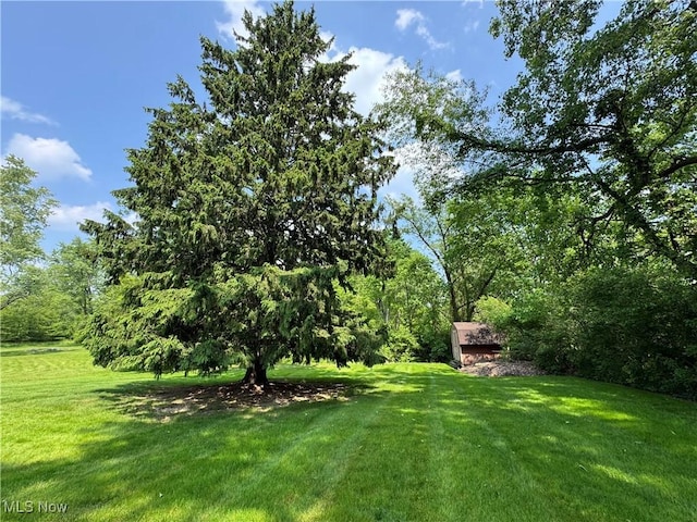 11025 Henning Dr, Chardon, OH 44024 - view of grassy yard