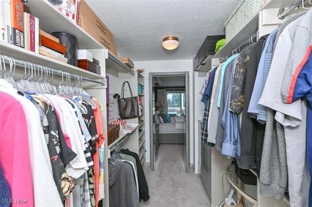 552 Saunders Ave, Akron, OH 44319 - view of spacious closet