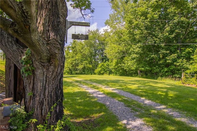 51300 Wegee Rd, Bellaire, OH 43906 - view of grassy yard
