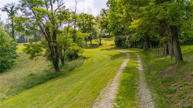 51300 Wegee Rd, Bellaire, OH 43906 - view of yard featuring driveway and view of scattered trees