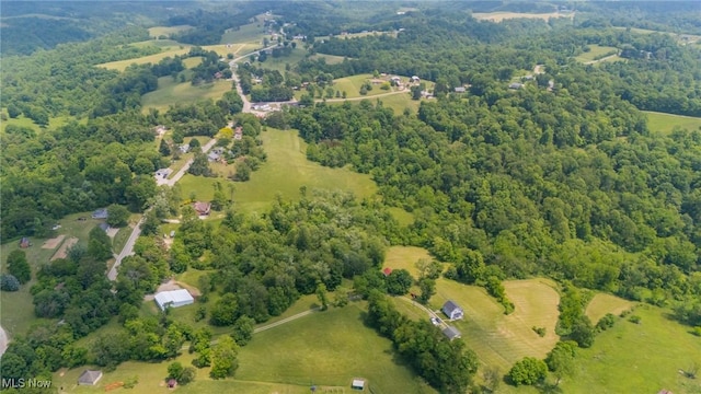 51300 Wegee Rd, Bellaire, OH 43906 - aerial view of a forest