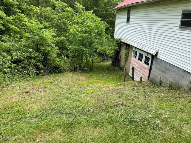 51300 Wegee Rd, Bellaire, OH 43906 - view of yard