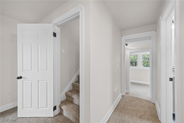3497 Raymont Blvd, University Heights, OH 44118 - stairs featuring carpet and baseboards