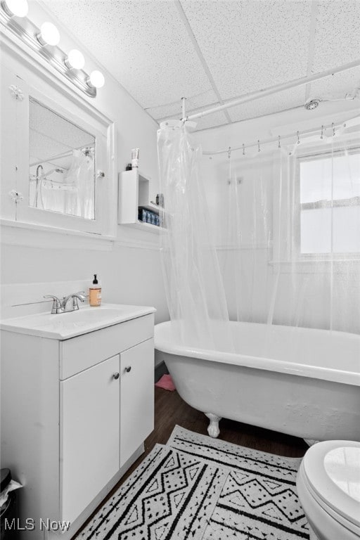 14520 Bayes Ave, Lakewood, OH 44107 - bathroom with vanity, toilet, and wood finished floors
