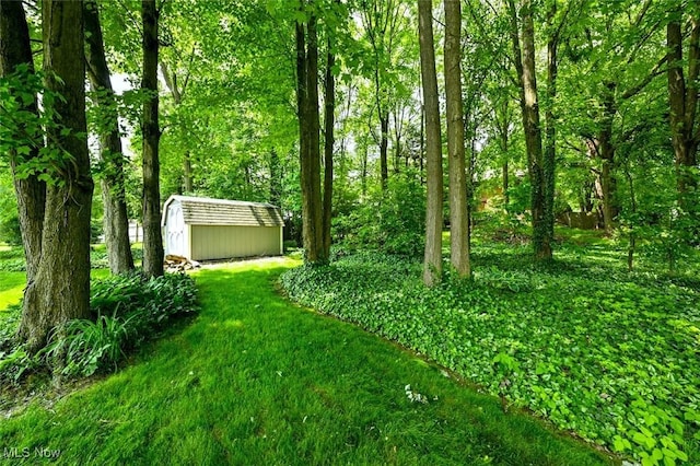 452 Herbert Rd, Akron, OH 44312 - view of green lawn