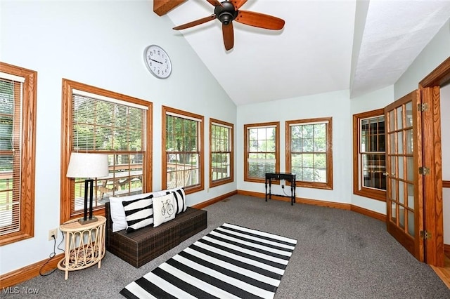 452 Herbert Rd, Akron, OH 44312 - sunroom / solarium featuring baseboards, healthy amount of natural light, carpet floors, and high vaulted ceiling